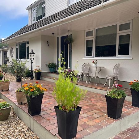 Woodland House B & B 윔번민스터 외부 사진